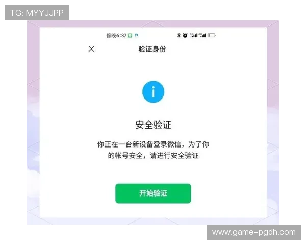 PG网站下载链接安全验证方法，保障您的设备和账号安全